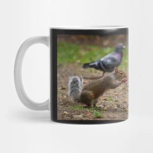 squirrel with shopping cart Mug